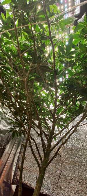 20220517_065716.jpg 20220517_065716.jpg