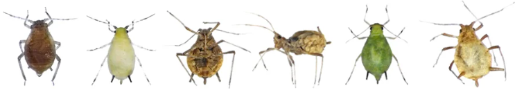 1652870079545.png 1652870079545.png