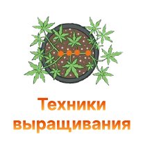 techniki vyraschivaniya-100.jpg