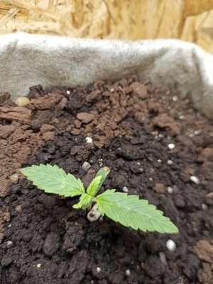 photo_2022-05-19_15-56-43.jpg photo_2022-05-19_15-56-43.jpg