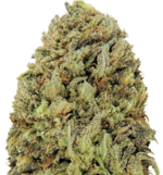 1761311505069.png 1761311505069.png