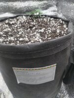 IMG_20251025_160351.jpg IMG_20251025_160351.jpg