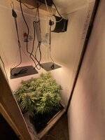 IMG_1216.jpeg IMG_1216.jpeg