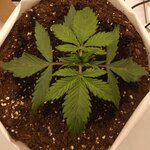 DSCF3402.JPG DSCF3402.JPG