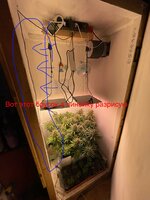 IMG_1389.jpeg IMG_1389.jpeg