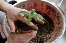 1762541887556.png 1762541887556.png