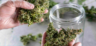 1762626616899.png 1762626616899.png