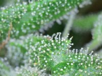 123321123.jpeg 123321123.jpeg