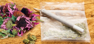 1764746362516.png 1764746362516.png