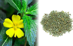 1764746390801.png 1764746390801.png