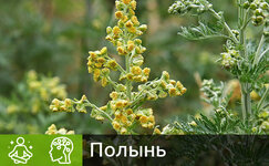 polyn__aWUeUdYK1dveDWAJ.jpg polyn__aWUeUdYK1dveDWAJ.jpg