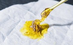 rosin__rNliPxtPEcWUC0jZ.jpg rosin__rNliPxtPEcWUC0jZ.jpg