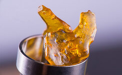 live-resin__zUHd2c5yk5QrXZlq.jpg live-resin__zUHd2c5yk5QrXZlq.jpg