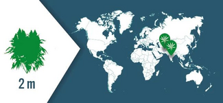 1764963145099.png 1764963145099.png