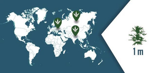 1764963174004.png 1764963174004.png