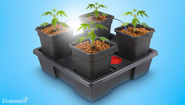 kak-nastroit-avtopoliv__0HrqcTuK9zV0MhTo.jpg kak-nastroit-avtopoliv__0HrqcTuK9zV0MhTo.jpg