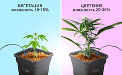 vlazhnost-substrata__d1vSiYzXPD4NKRbO.jpg vlazhnost-substrata__d1vSiYzXPD4NKRbO.jpg