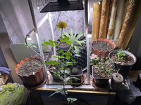 IMG_1891.jpeg IMG_1891.jpeg