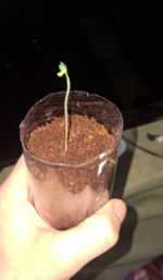 Снимок экрана 2025-12-16 223157.png