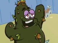 oufKcdZTPGY.jpg oufKcdZTPGY.jpg