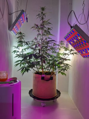 20220524_151343.jpg 20220524_151343.jpg