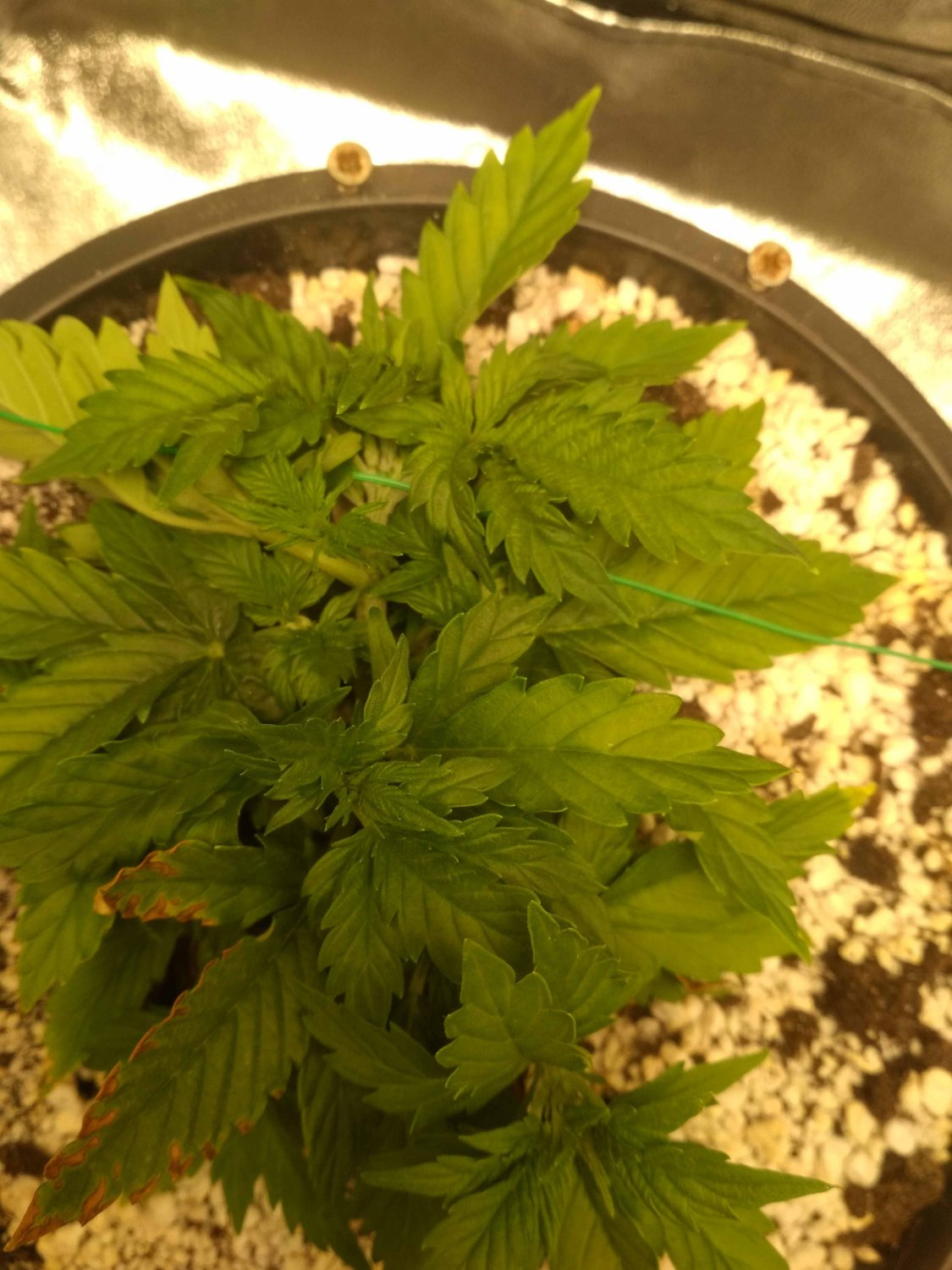 IMG_20220529_233926.jpg IMG_20220529_233926.jpg