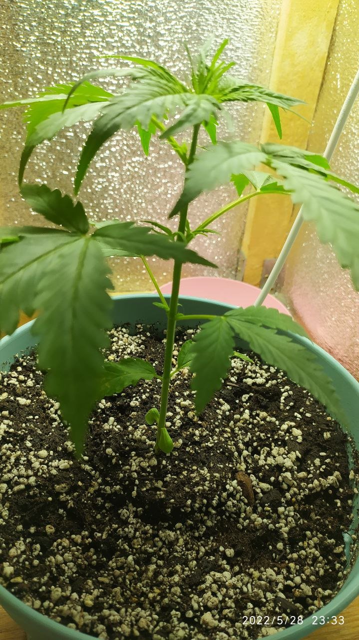 photo_2022-05-30_01-47-56 (3).jpg