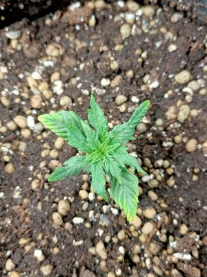 WhatsApp Image 2022-05-31 at 08.02.03.jpeg WhatsApp Image 2022-05-31 at 08.02.03.jpeg