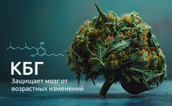 Kannabigerol__e7TIGZoLqizqpVKm.jpg