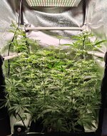 Day 58 (30.12) (2).jpg Day 58 (30.12) (2).jpg