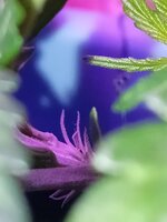 1000023175.jpg 1000023175.jpg