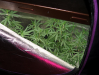 1767898407153.png 1767898407153.png