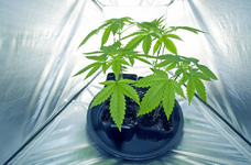 1767898491959.png 1767898491959.png