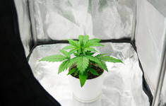 1767898566022.png 1767898566022.png