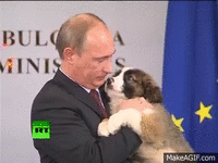 0OAGM4.gif 0OAGM4.gif