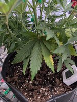 PXL_20260123_134024370~2.jpg PXL_20260123_134024370~2.jpg