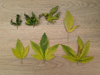 PXL_20260124_071445185.jpg PXL_20260124_071445185.jpg