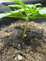 fa8aae34-9469-4819-ab45-4b50b88a70da (1).jpg