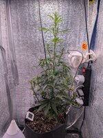 PXL_20260129_100718283.jpg PXL_20260129_100718283.jpg