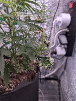 PXL_20260129_100810590.jpg PXL_20260129_100810590.jpg