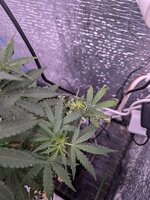 PXL_20260129_100814908.jpg PXL_20260129_100814908.jpg