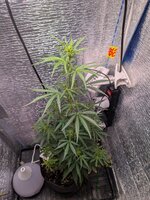 PXL_20260130_062359409.jpg PXL_20260130_062359409.jpg