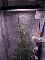 PXL_20260201_191010420~2.jpg PXL_20260201_191010420~2.jpg