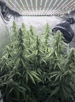 IMG_0306.jpeg IMG_0306.jpeg