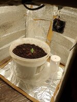 Начинаю свой путь!