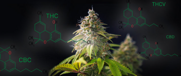 1770977153450.png 1770977153450.png