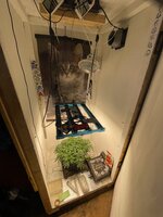 Синий папа вернулся с корпаратива 5.0