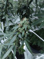 IMG_20260225_223029.jpg IMG_20260225_223029.jpg