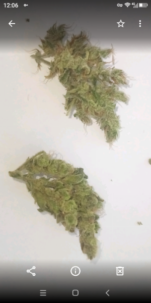 Screenshot_20220603-120622_copy_400x800.png Screenshot_20220603-120622_copy_400x800.png