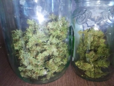 IMG_20220603_114900_864_copy_800x600.jpg IMG_20220603_114900_864_copy_800x600.jpg